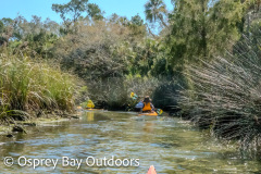 Chassahowitzka-2026-89