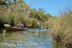 Chassahowitzka-2026-90