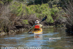 Chassahowitzka-2026-95