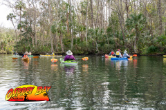 Chassahowitzka  Feb 2025