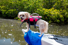Clam-Bayou-June-2021-28