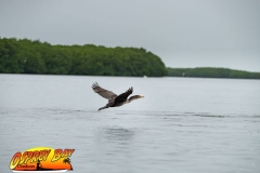 ft-desoto-oct-2020-44