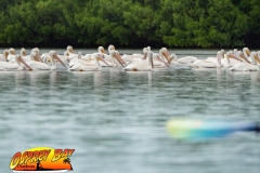 ft-desoto-oct-2020-48