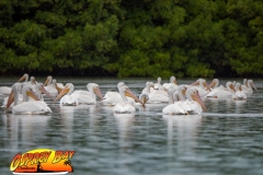 ft-desoto-oct-2020-51