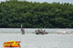ft-desoto-oct-2020-80