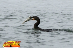 ft-desoto-oct-2020-90