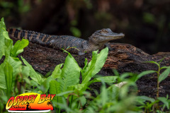 hillsborough-river-2023-109