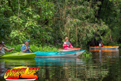 hillsborough-river-2023-127