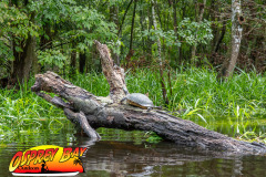 hillsborough-river-2023-130