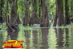 hillsborough-river-2023-131