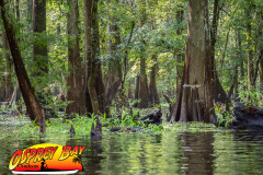 hillsborough-river-2023-132