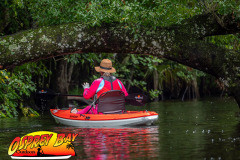 hillsborough-river-2023-97