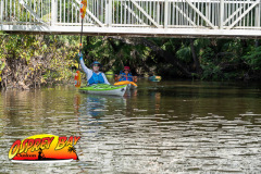 Hillsborough-river-2025-1