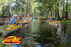 Hillsborough-river-2025-14