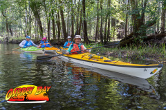 Hillsborough-river-2025-15