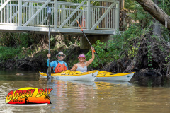 Hillsborough-river-2025-3