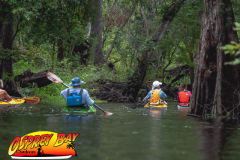 Hillsborough-river-2025-42