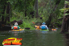 Hillsborough-river-2025-43