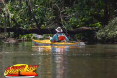 Hillsborough-river-2025-44