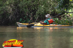 Hillsborough-river-2025-45