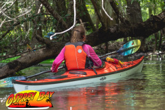 Hillsborough-river-2025-46