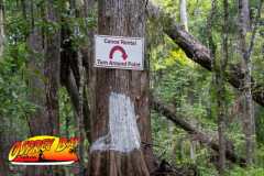 Hillsborough-river-2025-48