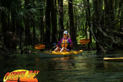 Hillsborough-river-aug-2021-100