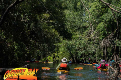 Hillsborough-river-aug-2021-111