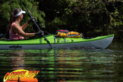 Hillsborough-river-aug-2021-12