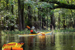 Hillsborough-river-aug-2021-123