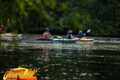 Hillsborough-river-aug-2021-23