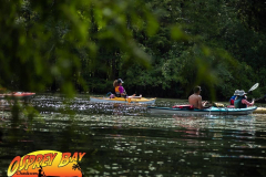 Hillsborough-river-aug-2021-24