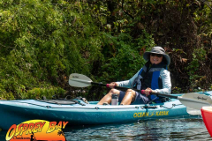 Hillsborough-river-aug-2021-29