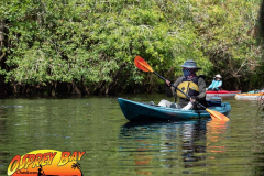 Hillsborough-river-aug-2021-44