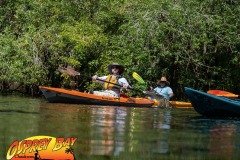 Hillsborough-river-aug-2021-45