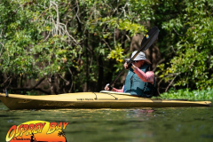 Hillsborough-river-aug-2021-49