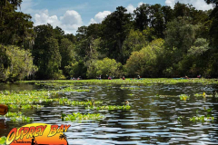 Hillsborough-river-aug-2021-55