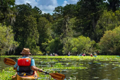 Hillsborough-river-aug-2021-56