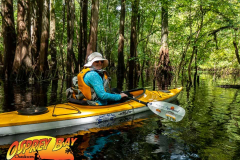 Hillsborough-river-aug-2021-60