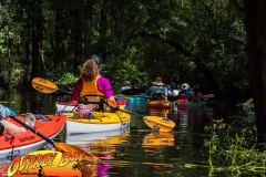 Hillsborough-river-aug-2021-70