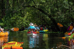 Hillsborough-river-aug-2021-71
