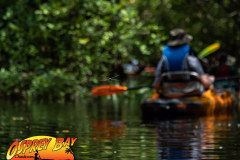 Hillsborough-river-aug-2021-72