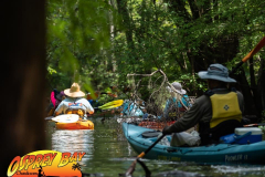 Hillsborough-river-aug-2021-75