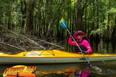 Hillsborough-river-aug-2021-85