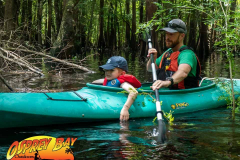 Hillsborough-river-aug-2021-87