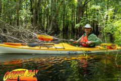 Hillsborough-river-aug-2021-88
