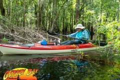 Hillsborough-river-aug-2021-90