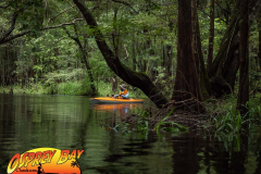 Hillsborough-river-aug-2021-94