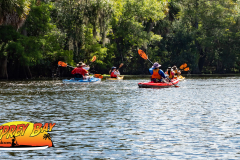 Hillsborough-River-aug-2022-15