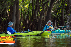 Hillsborough-River-aug-2022-33